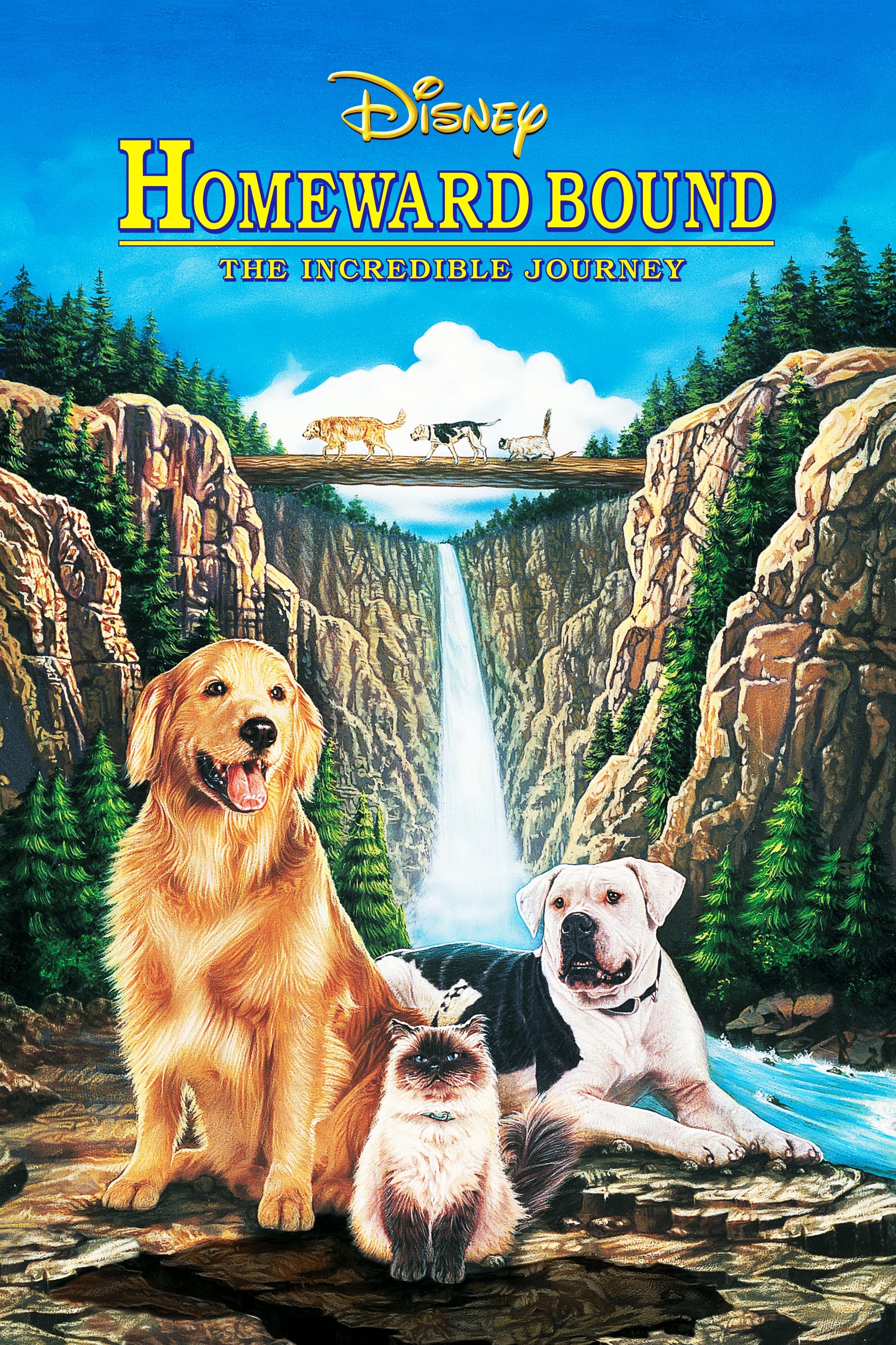 Homeward Bound: The Incredible Journey 1993