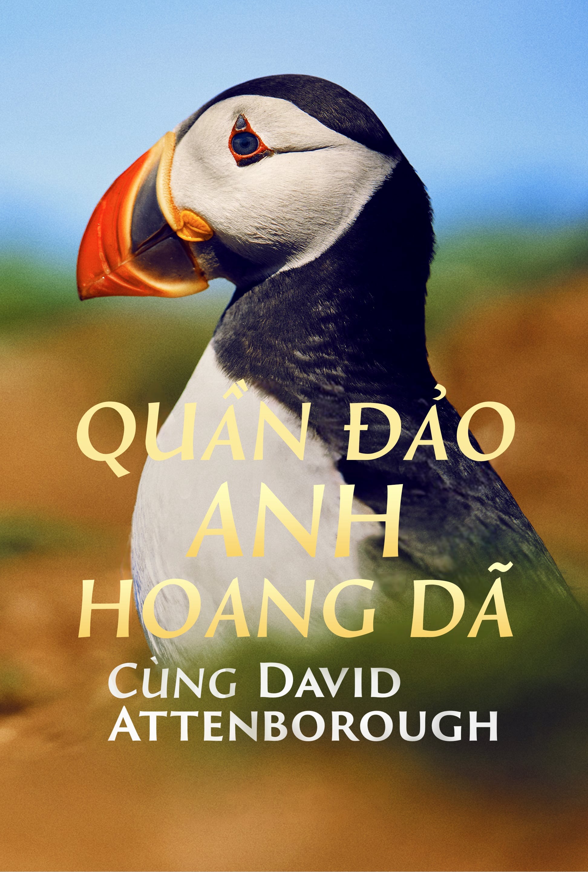 Quần Đảo Anh Hoang Dã 2023